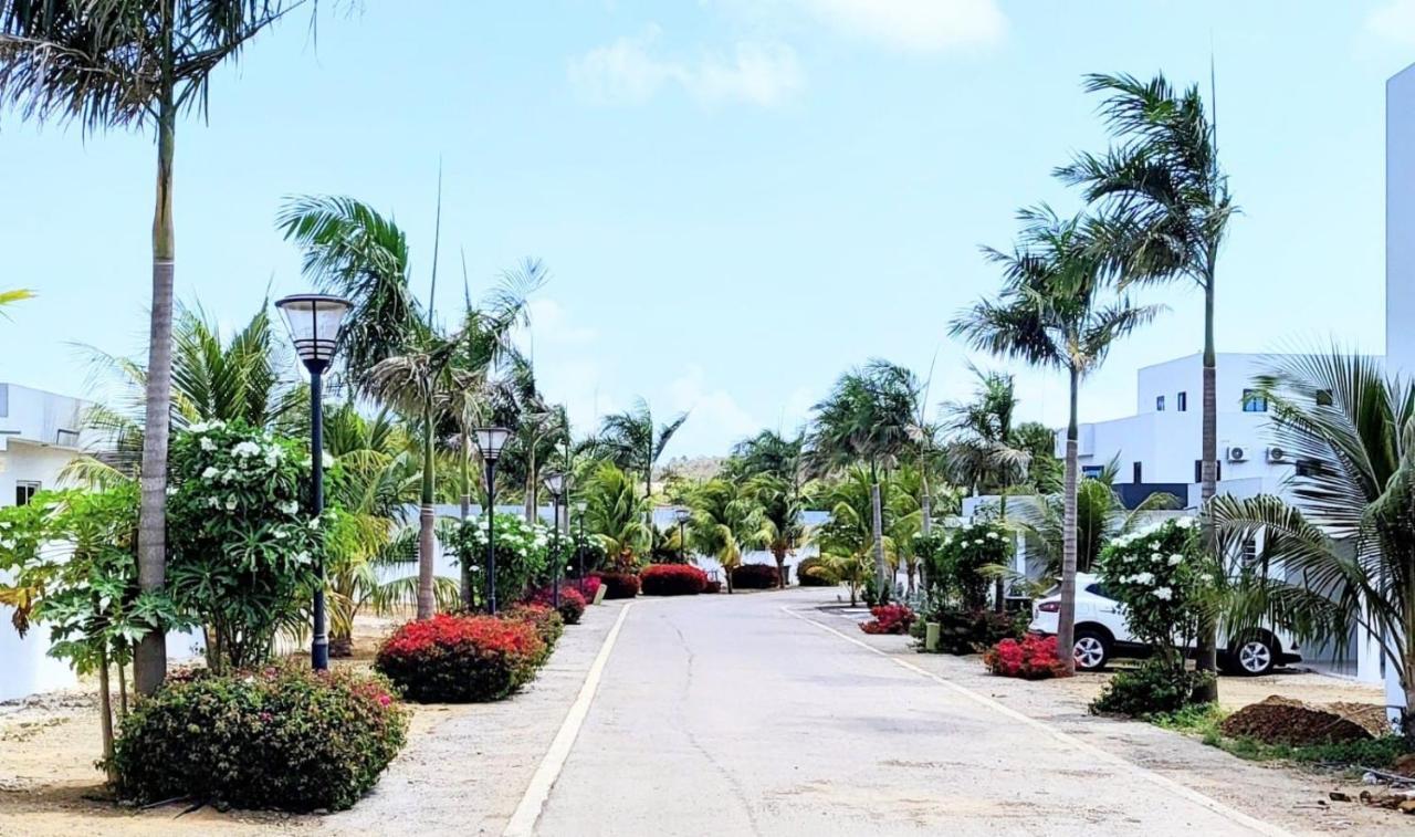 Winstonvalley Resort Βίλλεμσταντ Εξωτερικό φωτογραφία