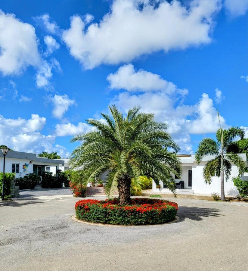 Winstonvalley Resort Βίλλεμσταντ Εξωτερικό φωτογραφία