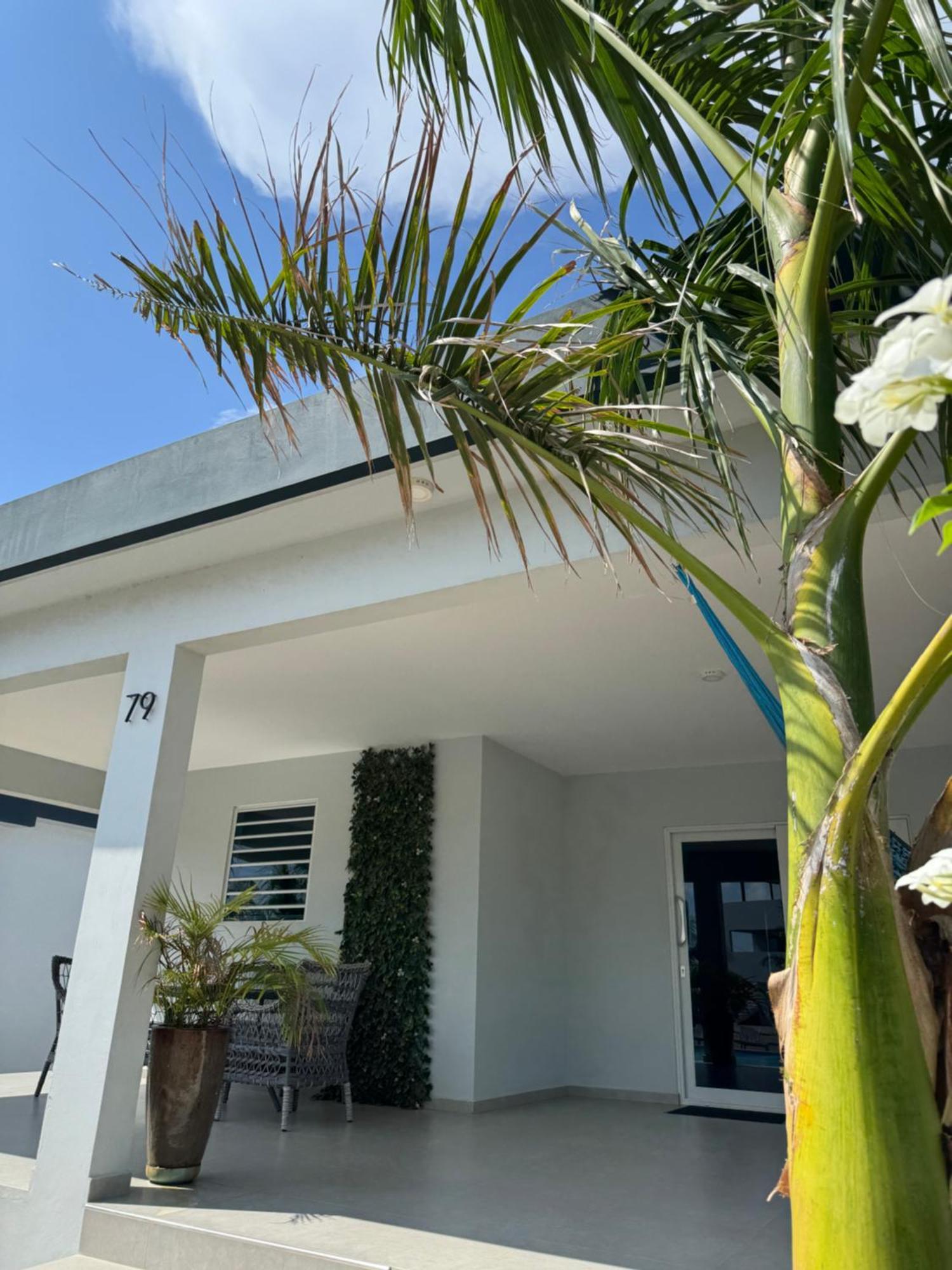 Winstonvalley Resort Βίλλεμσταντ Εξωτερικό φωτογραφία